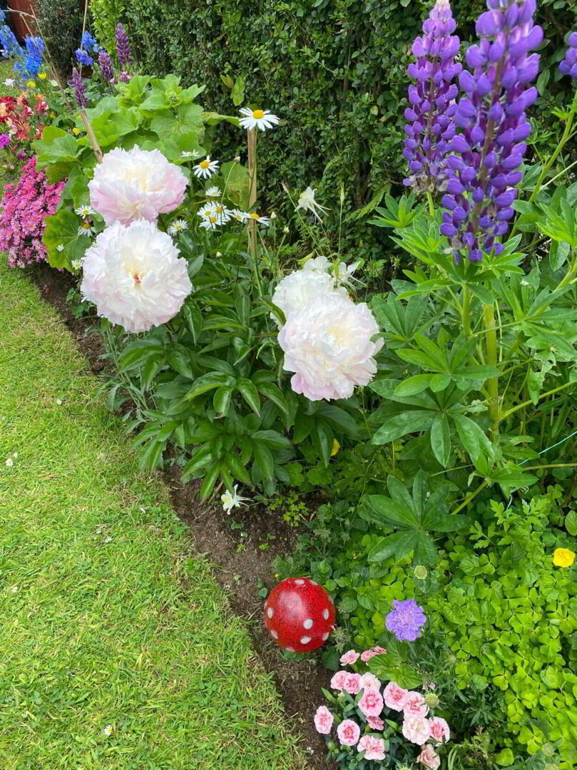 9 Rural Gardens 33 of 35