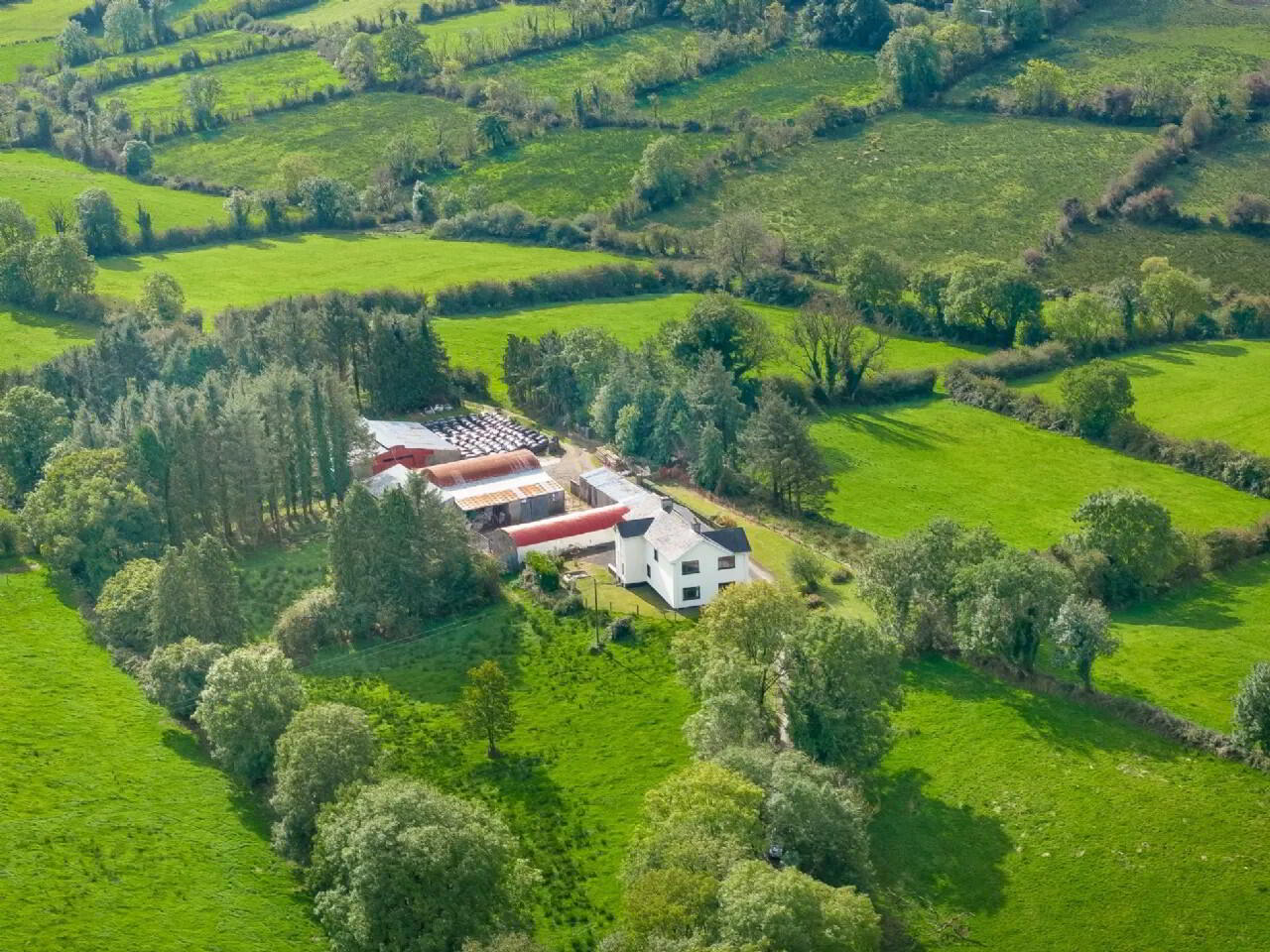 Derryham 45 of 58