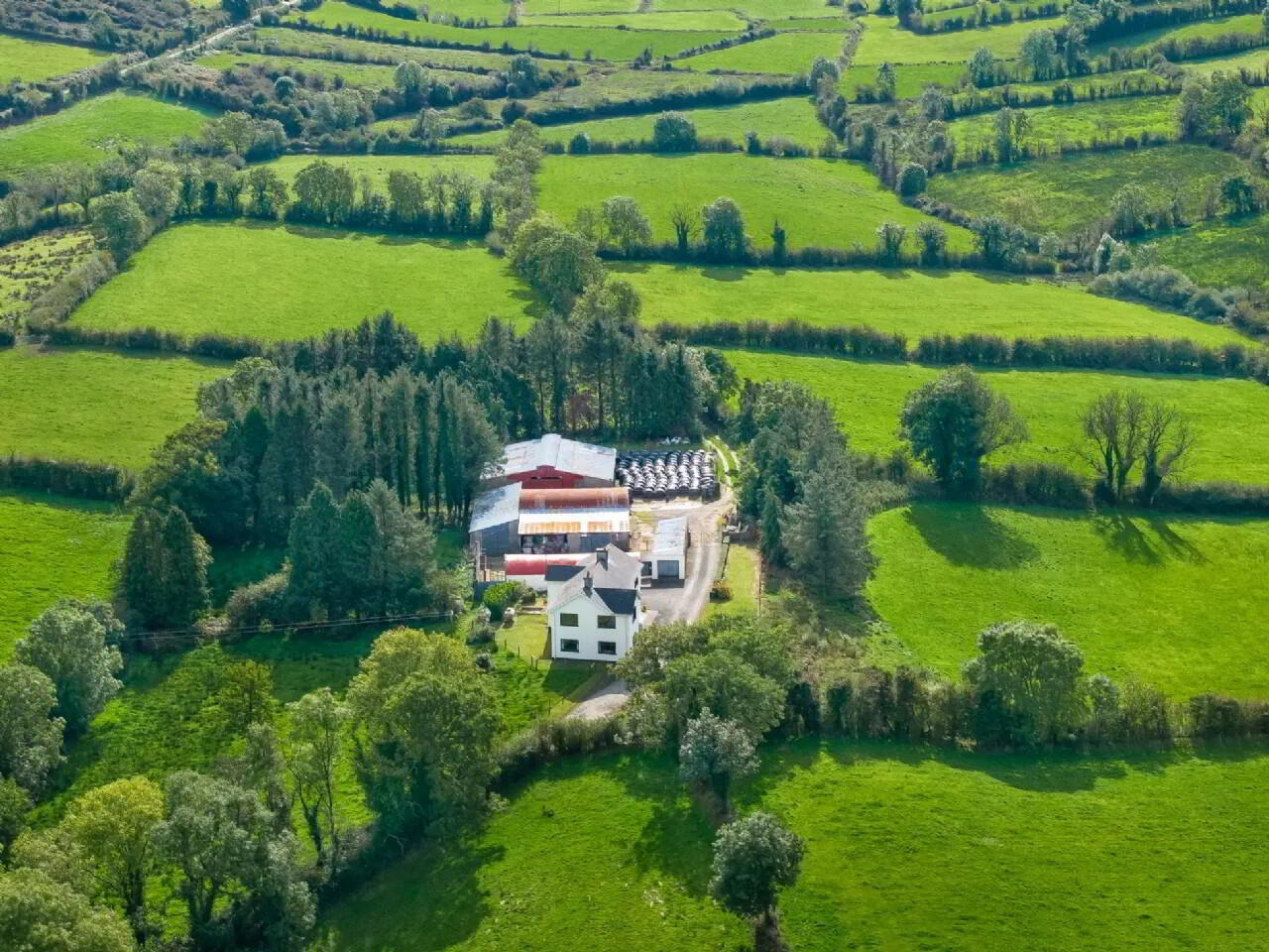 Derryham 56 of 58