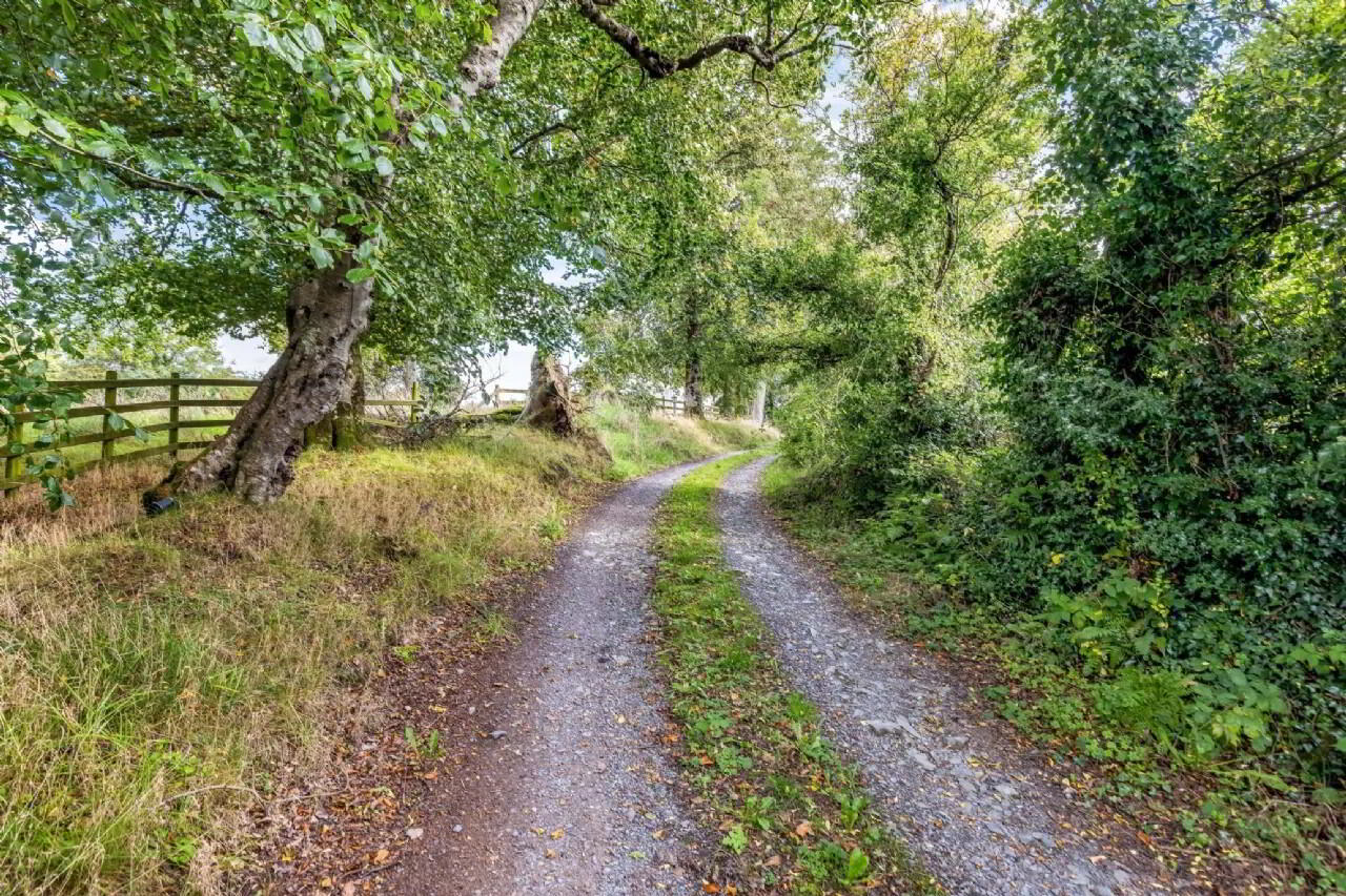 Derryvally House 38 of 47