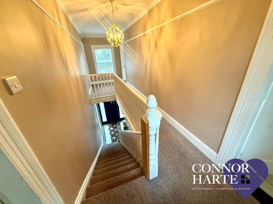 101 Dungannon Road 8 of 14