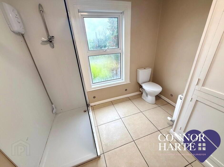 101 Dungannon Road 13 of 14
