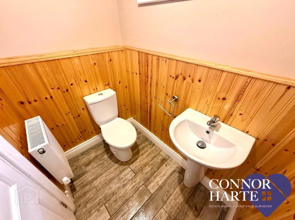101 Dungannon Road 7 of 14