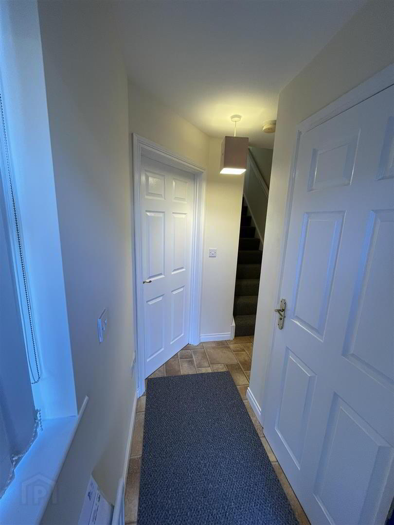 29 Limewood 6 of 12