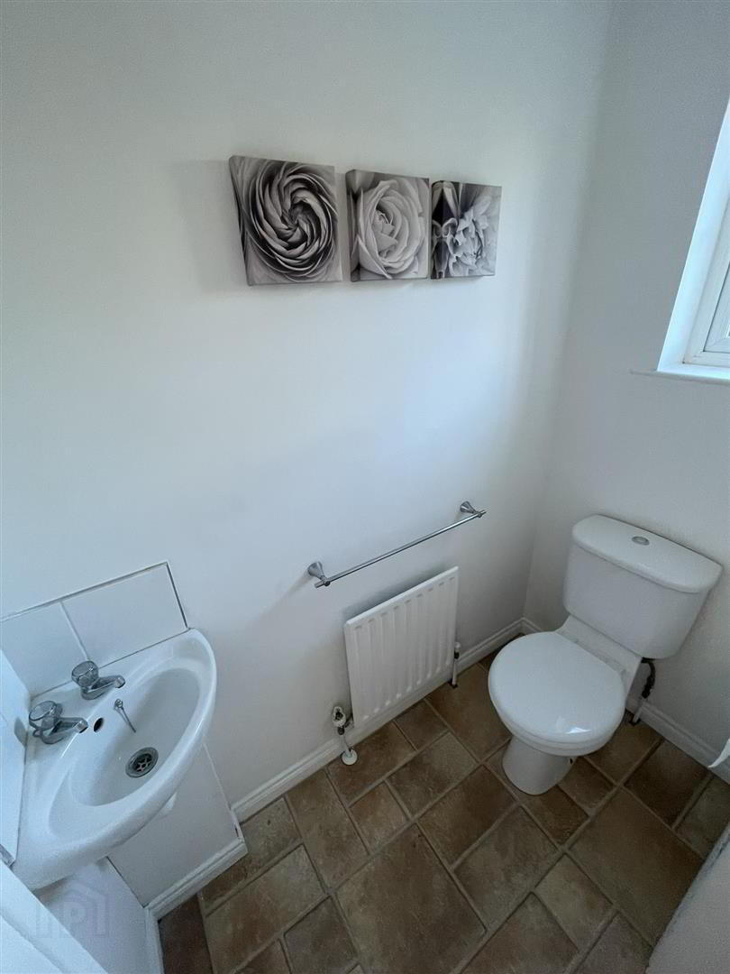 29 Limewood 7 of 12