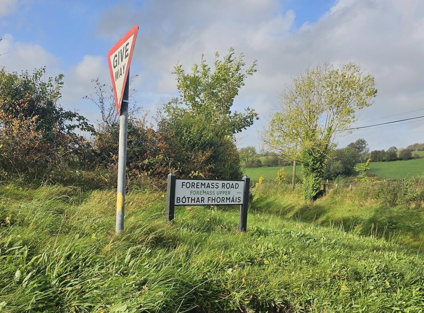 2 Foremass Road 6 of 6