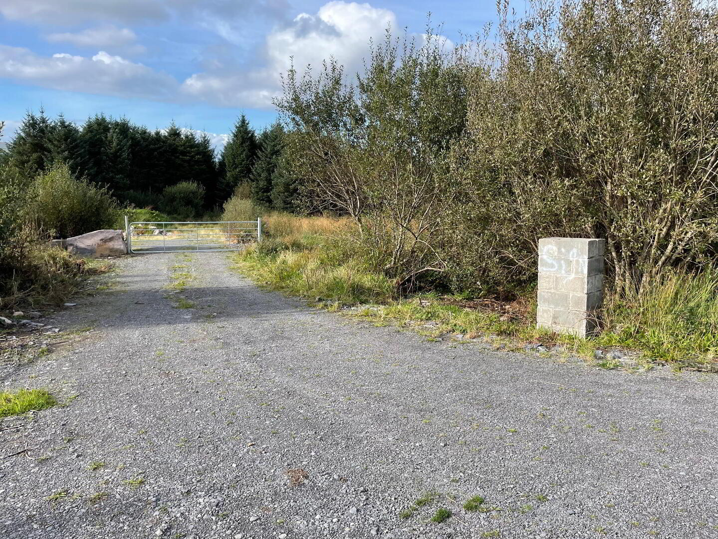 Land, Raheen Fermoyle 1 of 3