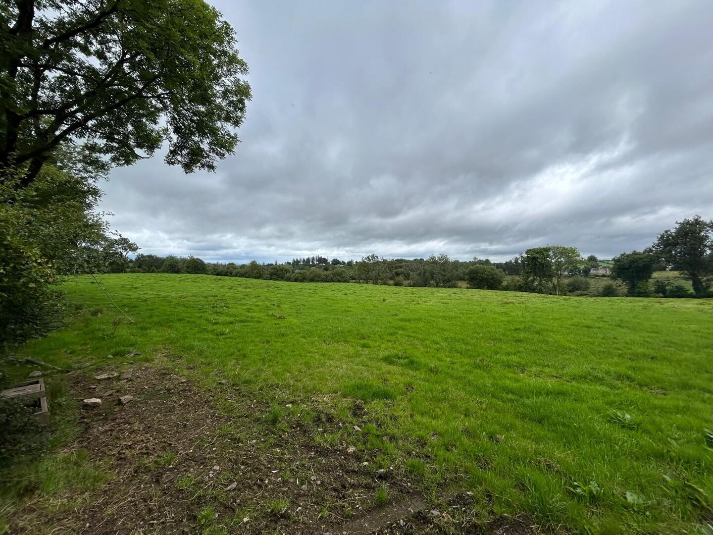 Mossfield Farm,, 43 Tummery Road 12 of 22