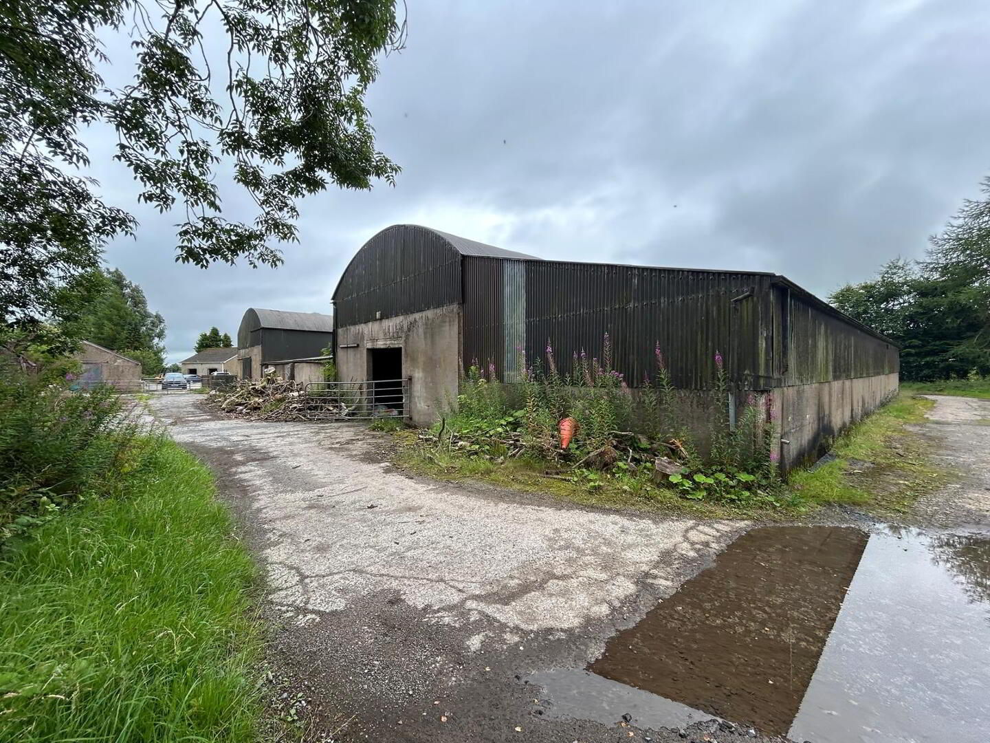 Mossfield Farm,, 43 Tummery Road 19 of 22