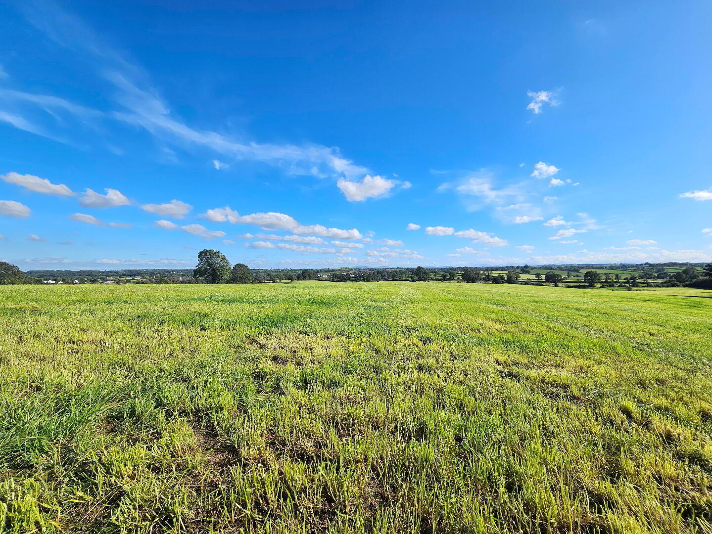 Farm At Mill Hill 7 of 13