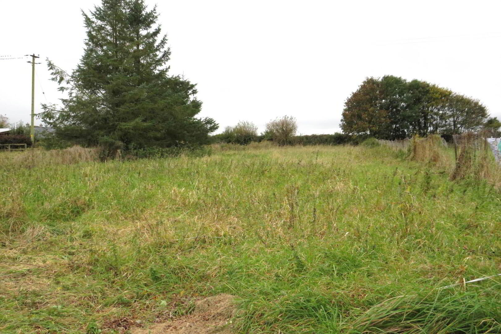 Broghill Road 9 of 10