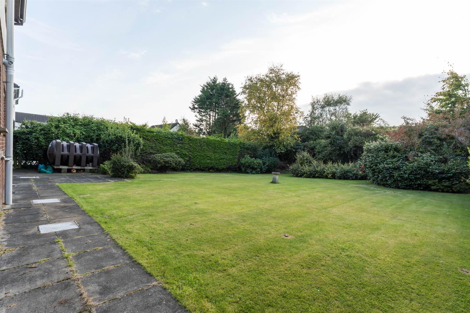 3 Hanover Chase 2 of 15