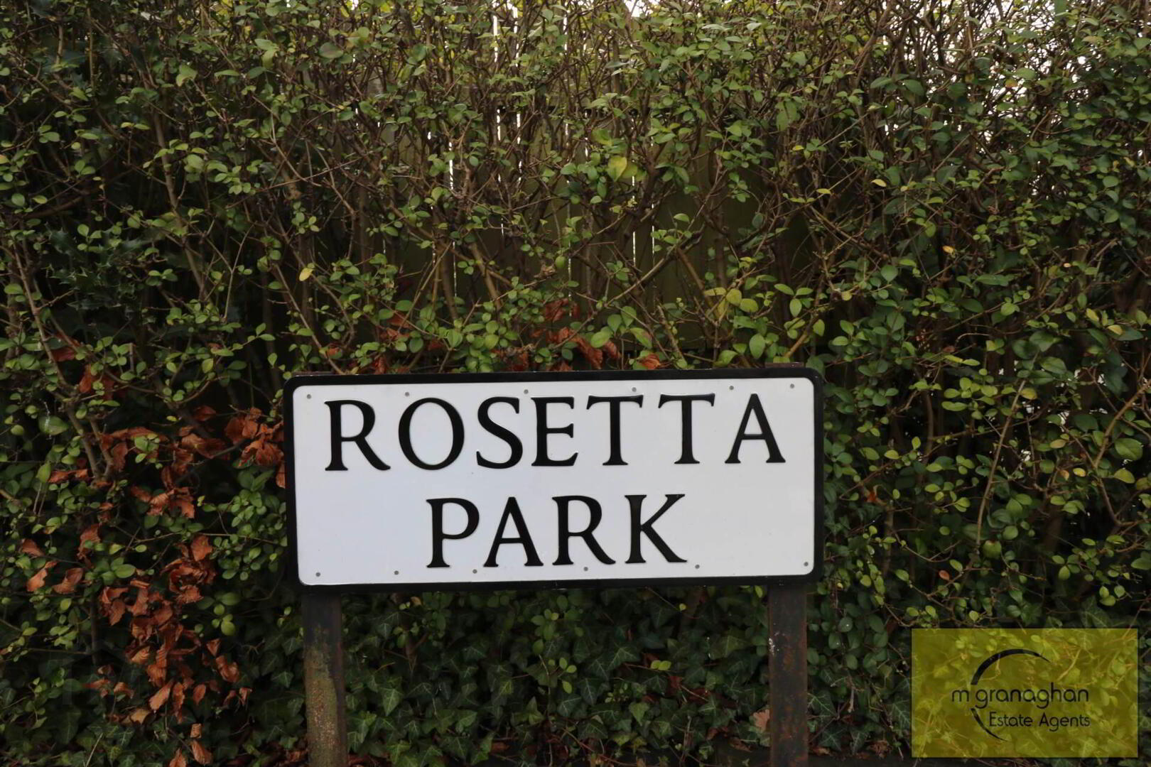 Apt 4, 6a Rosetta Park 2 of 14