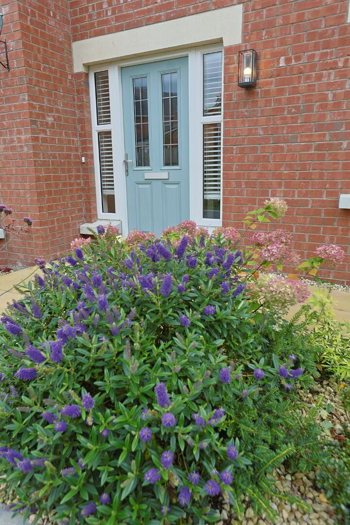 47 Woodville Elms 5 of 81