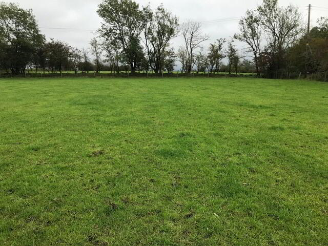 60m NE Of No 29 Ballyveely Road 2 of 4