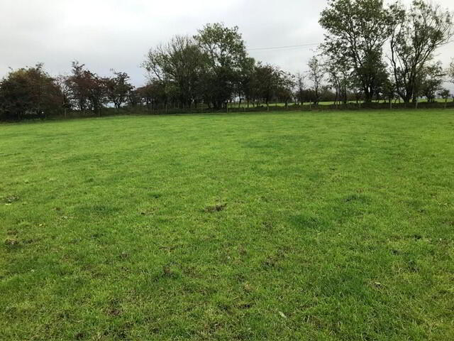 60m NE Of No 29 Ballyveely Road 4 of 4