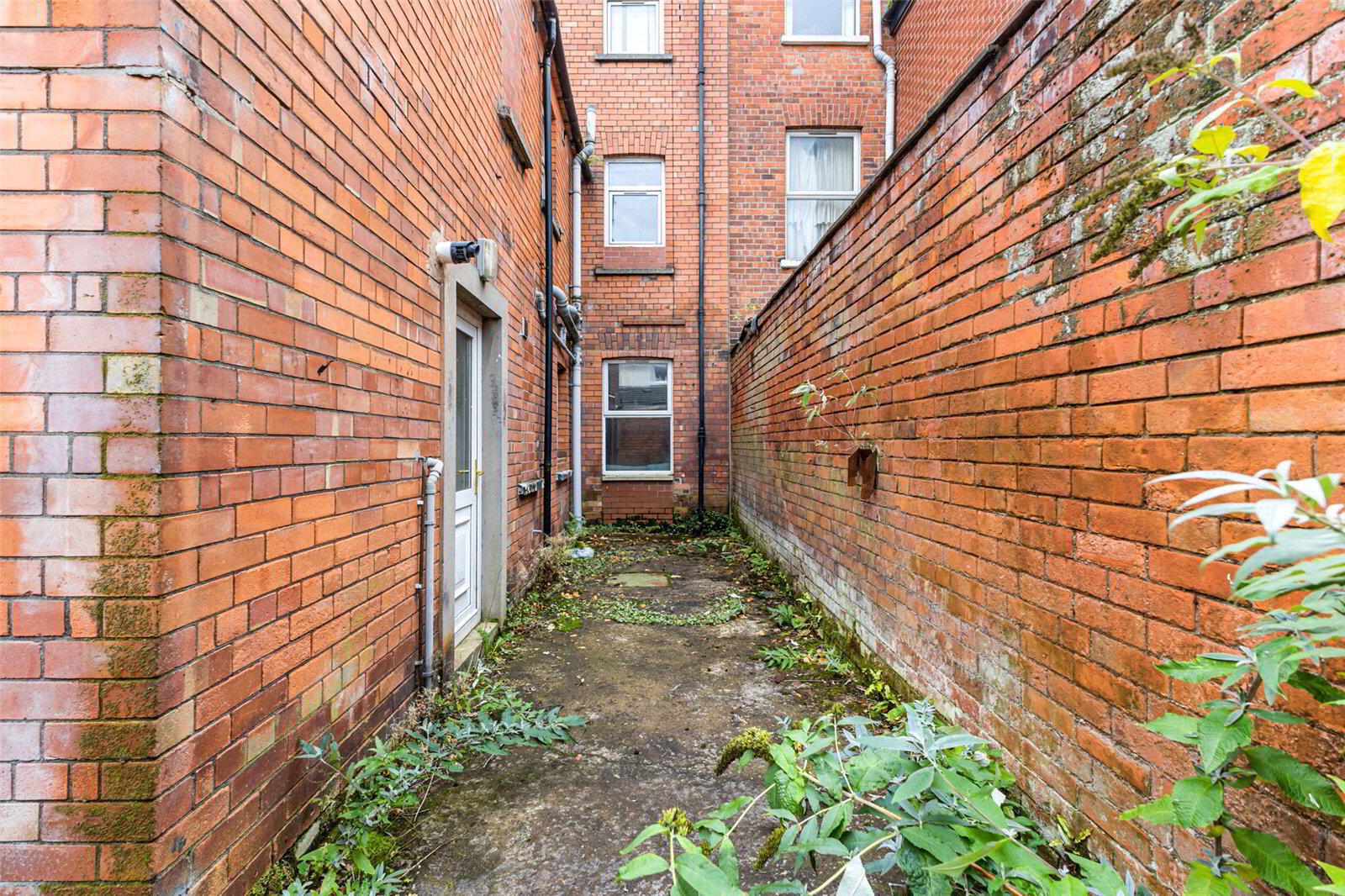 55 Ulsterville Avenue 29 of 30
