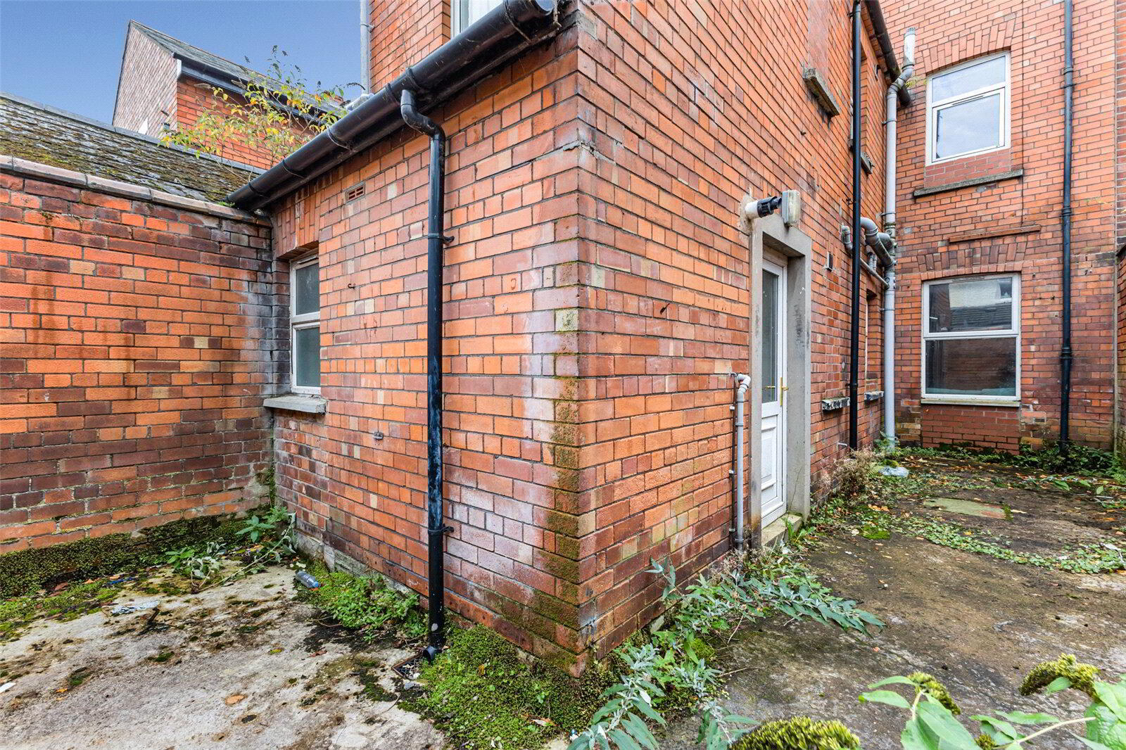 55 Ulsterville Avenue 30 of 30