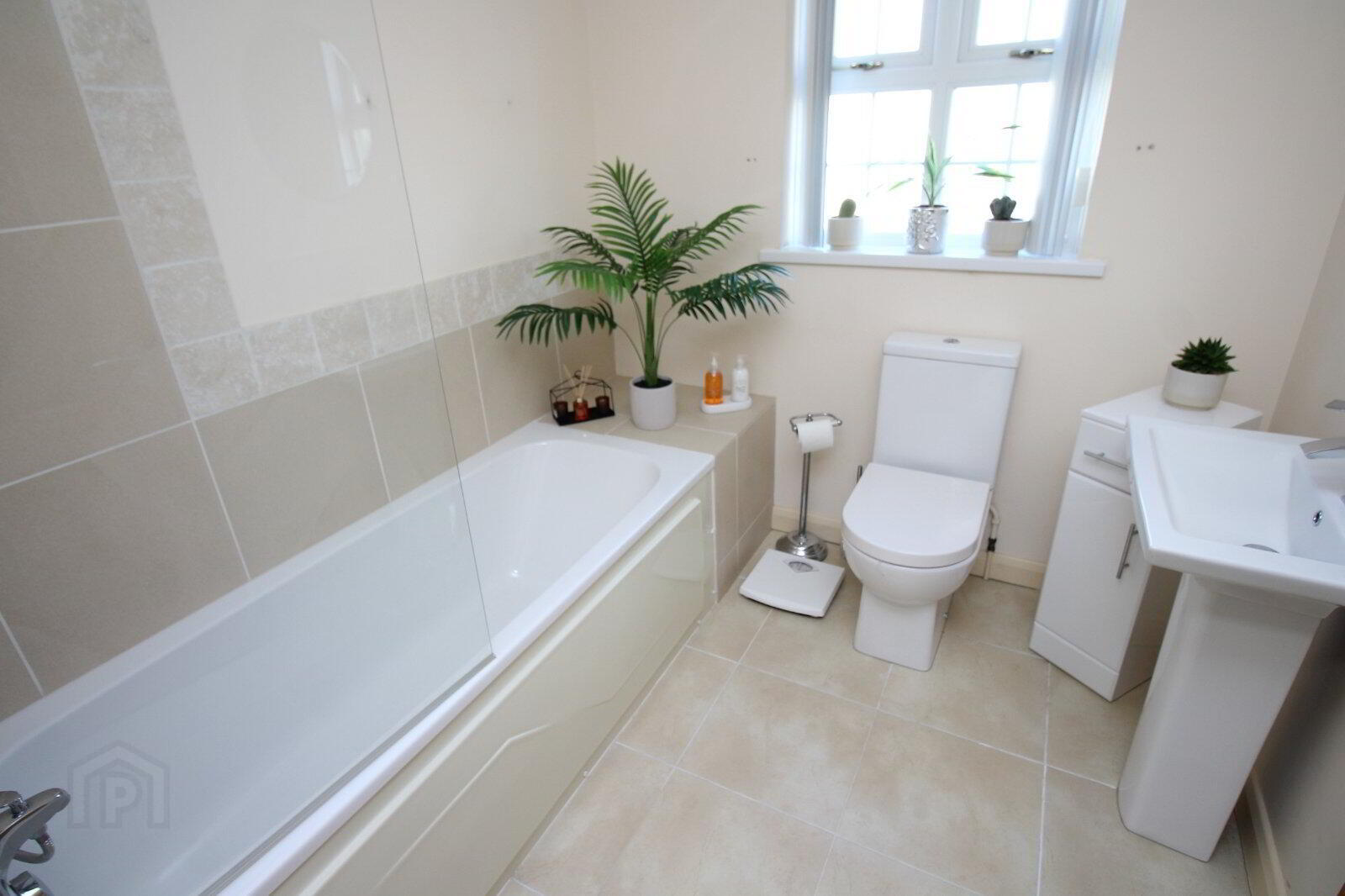 17 Higgins Court 5 of 9