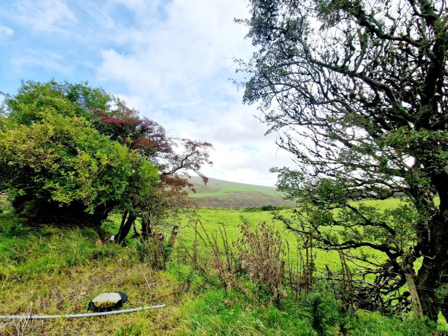 42 Magherabrack Road 7 of 8