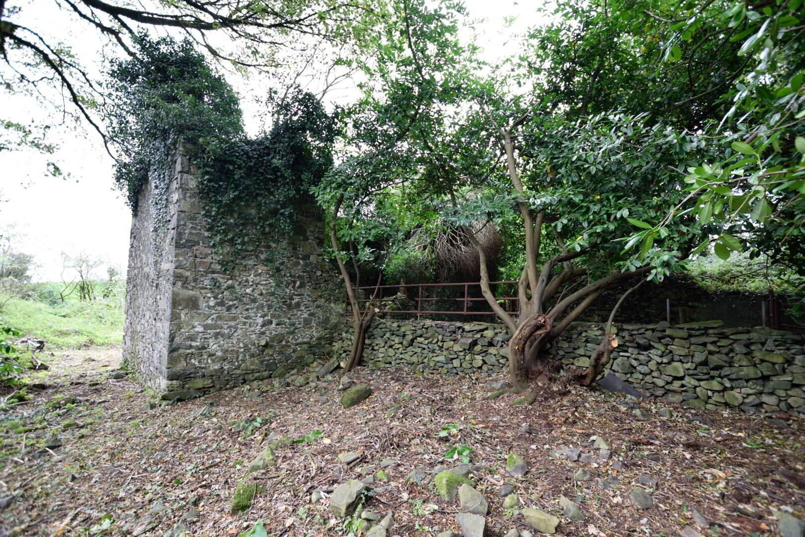 Lot 2 : Derelict Building Raffony & Land 3 of 7