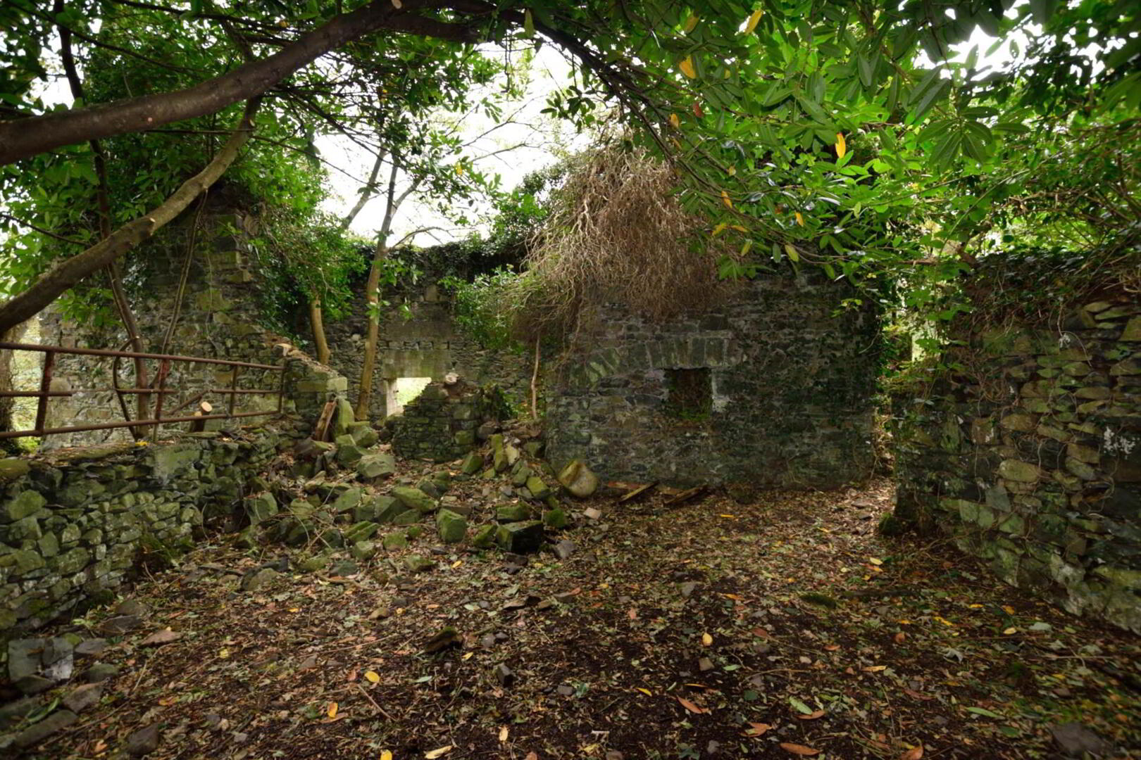 Lot 2 : Derelict Building Raffony & Land 6 of 7