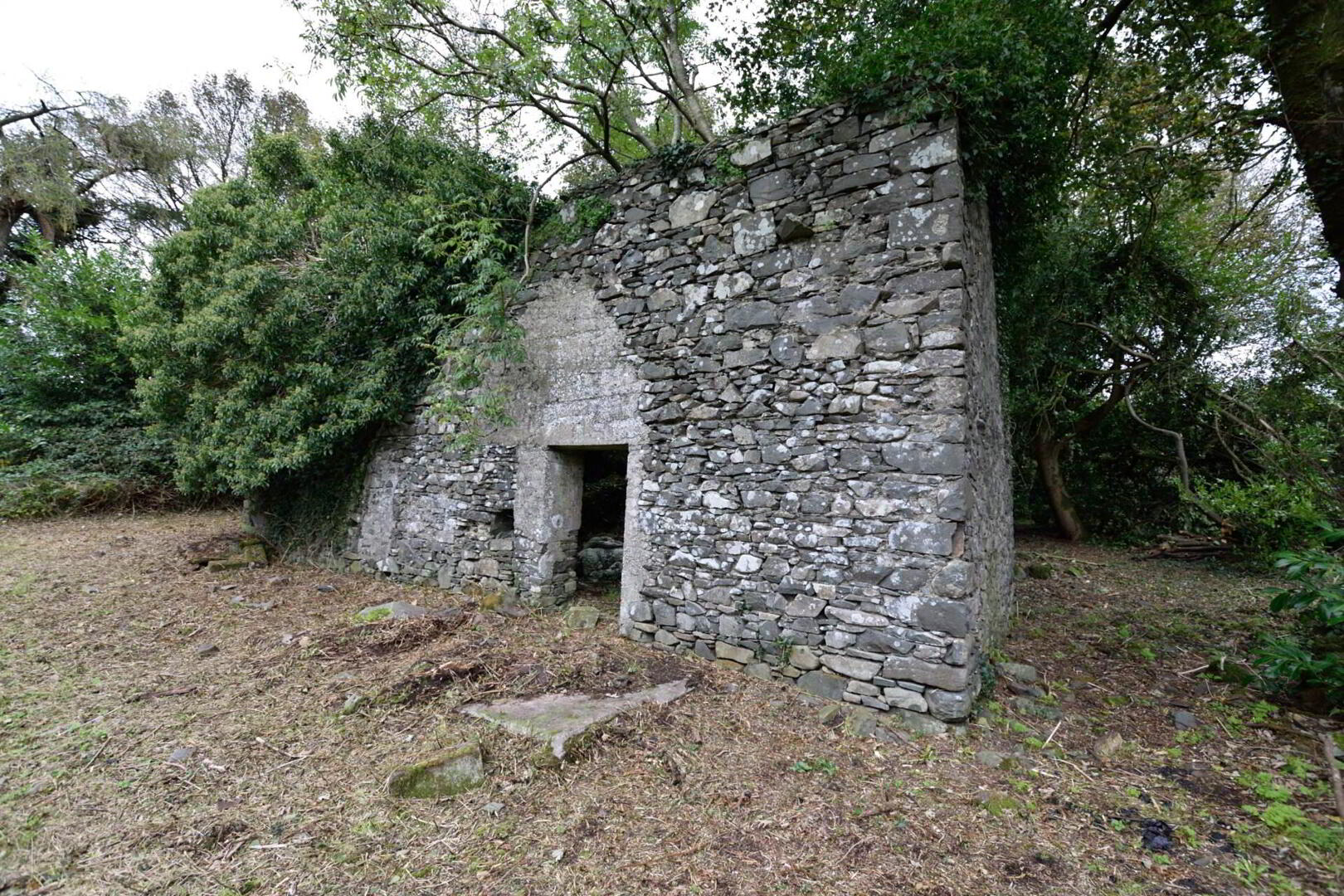 Lot 2 : Derelict Building Raffony & Land 2 of 7