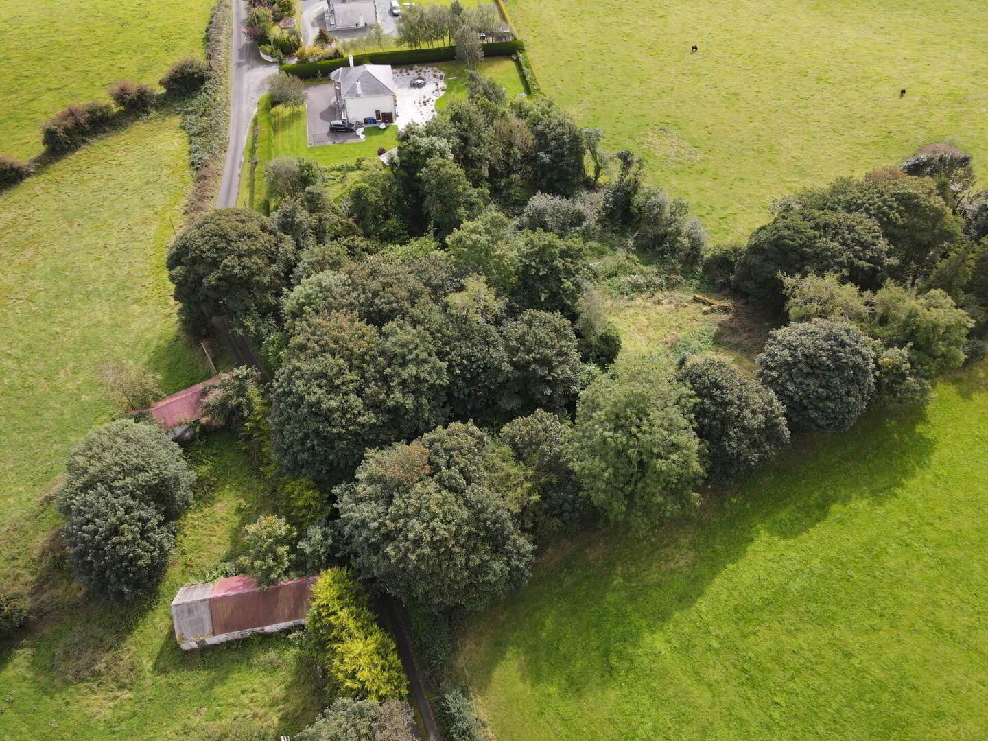 Lot 2 : Derelict Building Raffony & Land 7 of 7