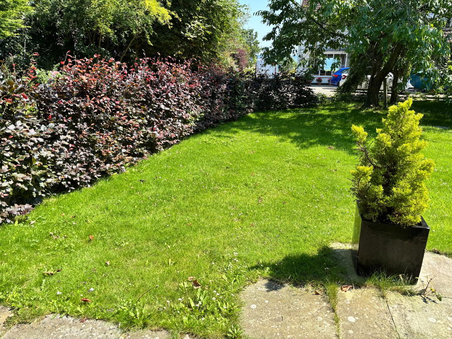 93a Shore Road 19 of 20