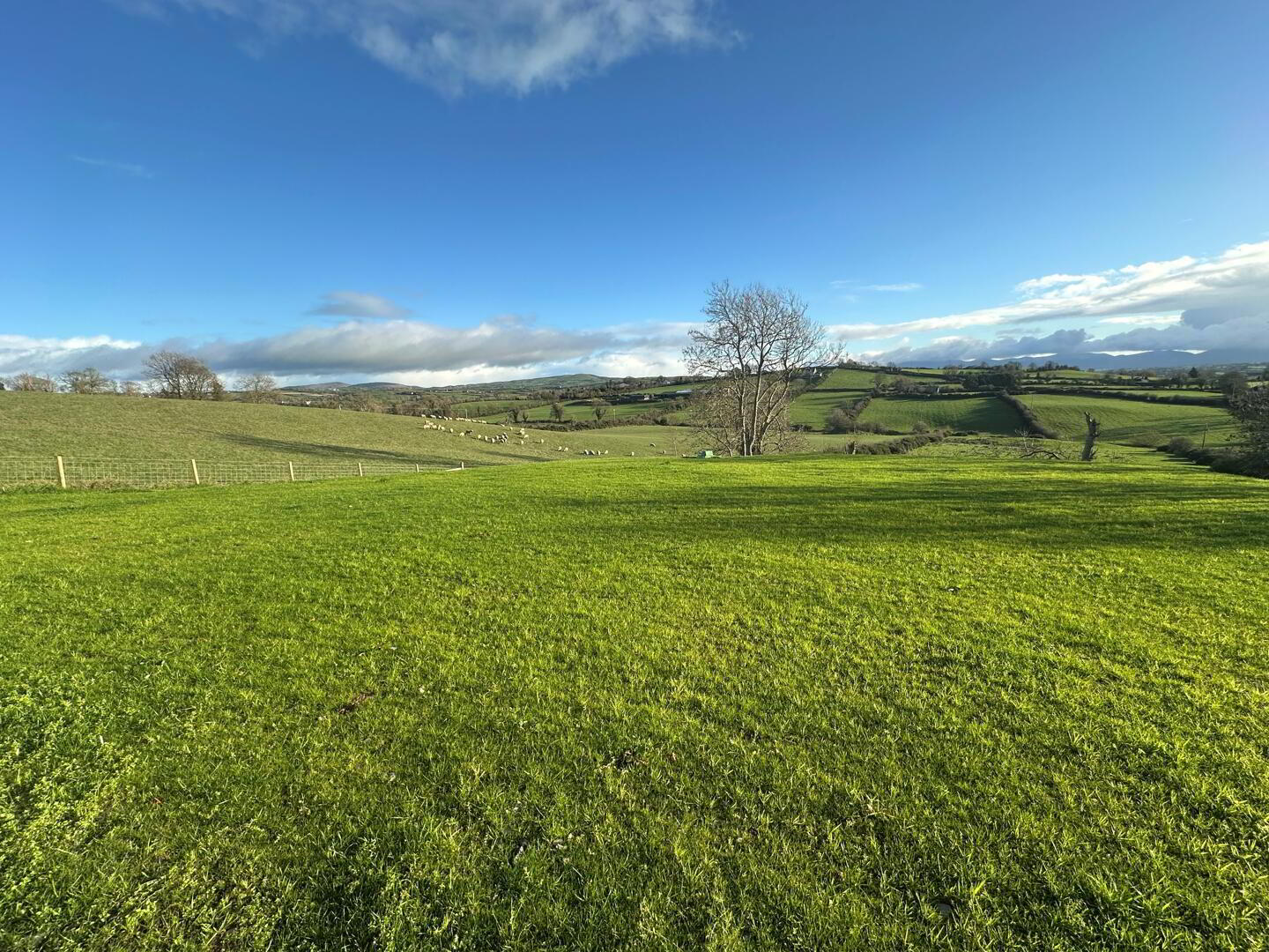 5 Knockgorm Road 23 of 23