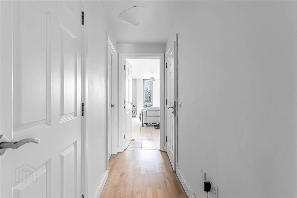 Apt 9, 152 Malone Avenue 3 of 19