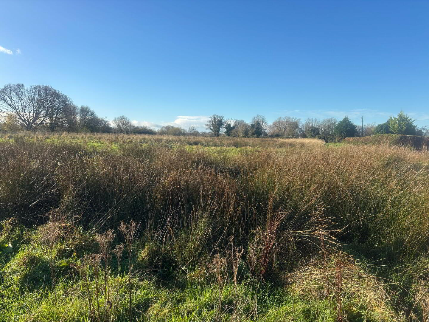 17.2 Acres Including 1 Acre Building Site, Halftown Road 1 of 3