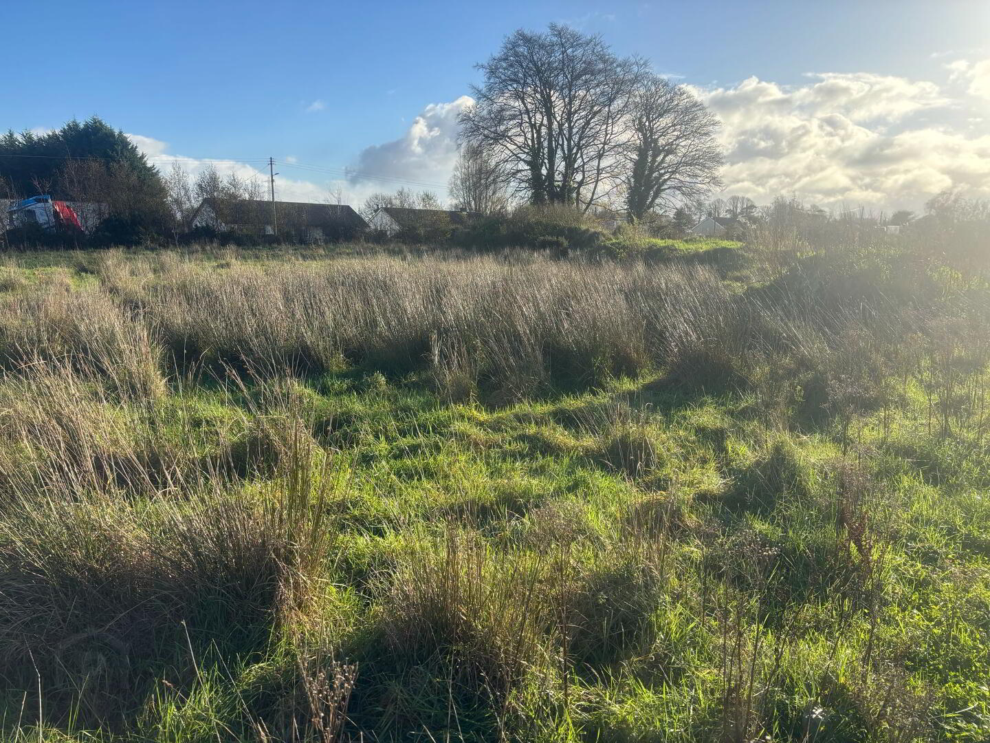 17.2 Acres Including 1 Acre Building Site, Halftown Road 2 of 3
