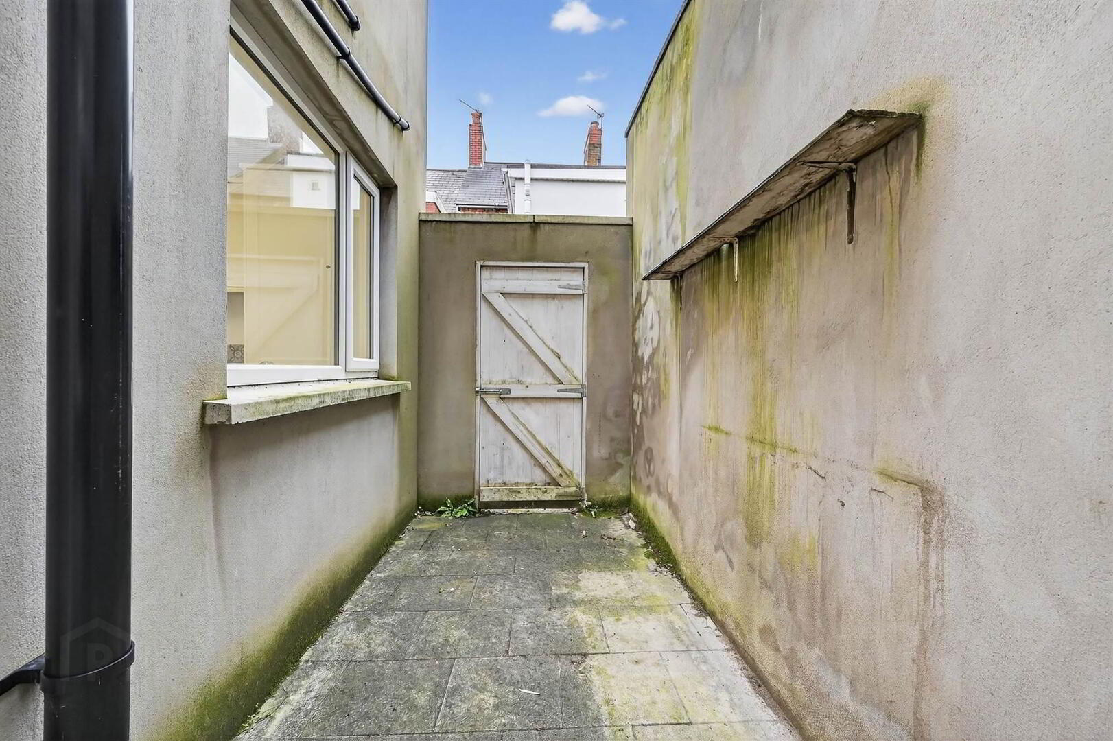 52 Trevor Street 19 of 20