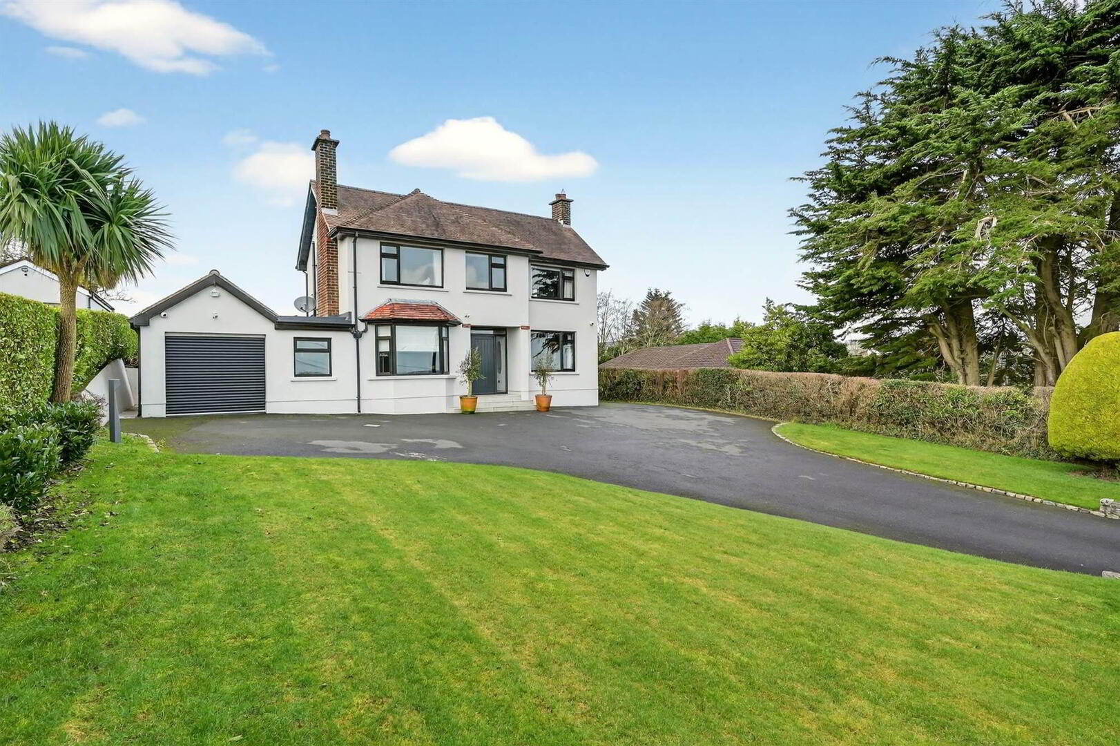 59 Milecross Road 3 of 56