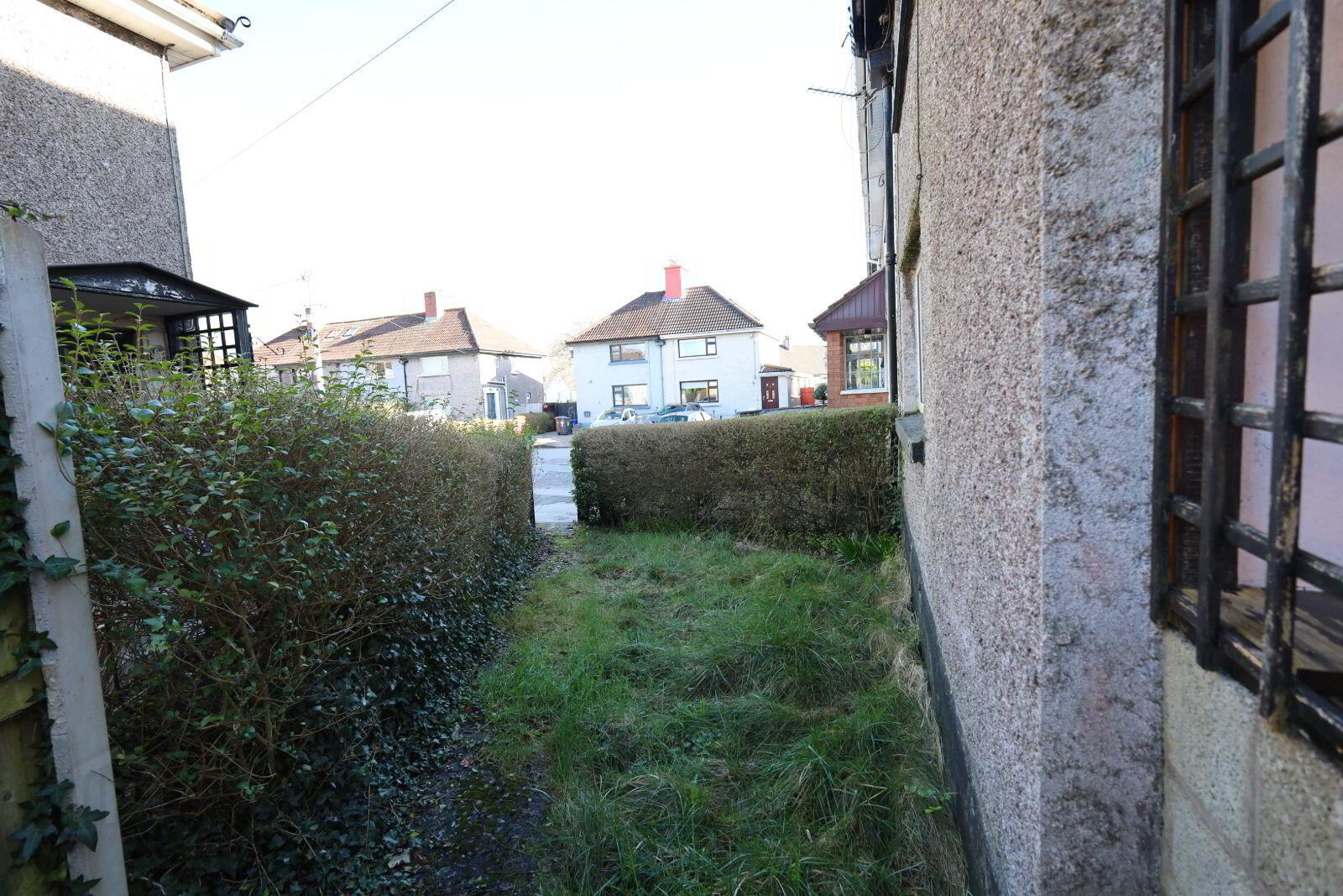 24 Whitethorn 10 of 11