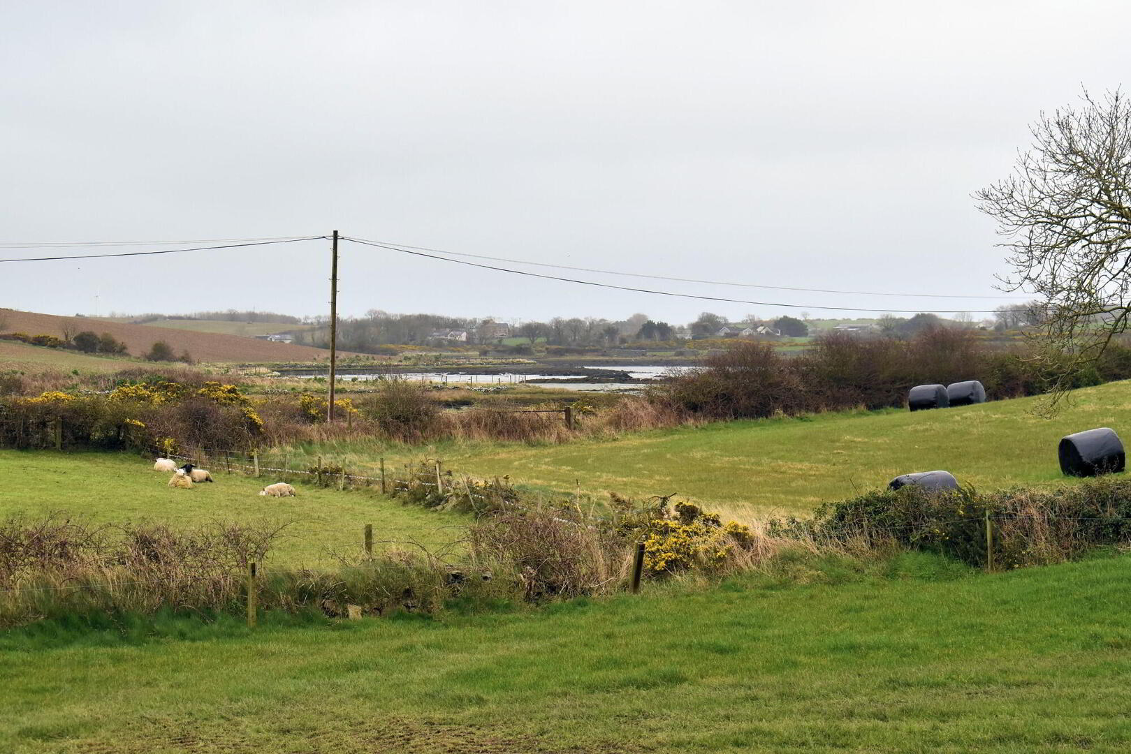 11B Abbacy Road 38 of 39