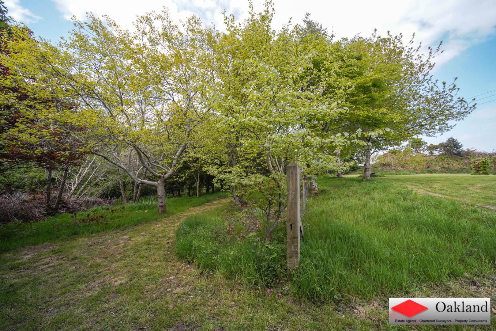 270 Culmore Road 99 of 100