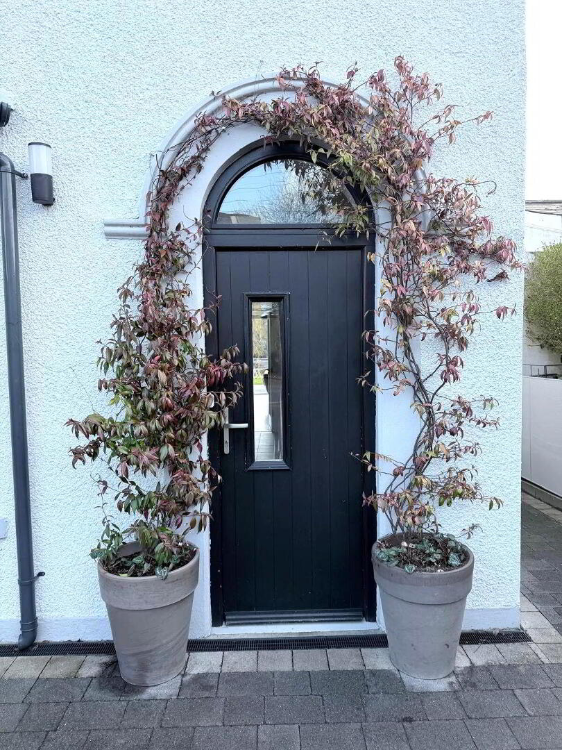 Clonlea 2 of 26