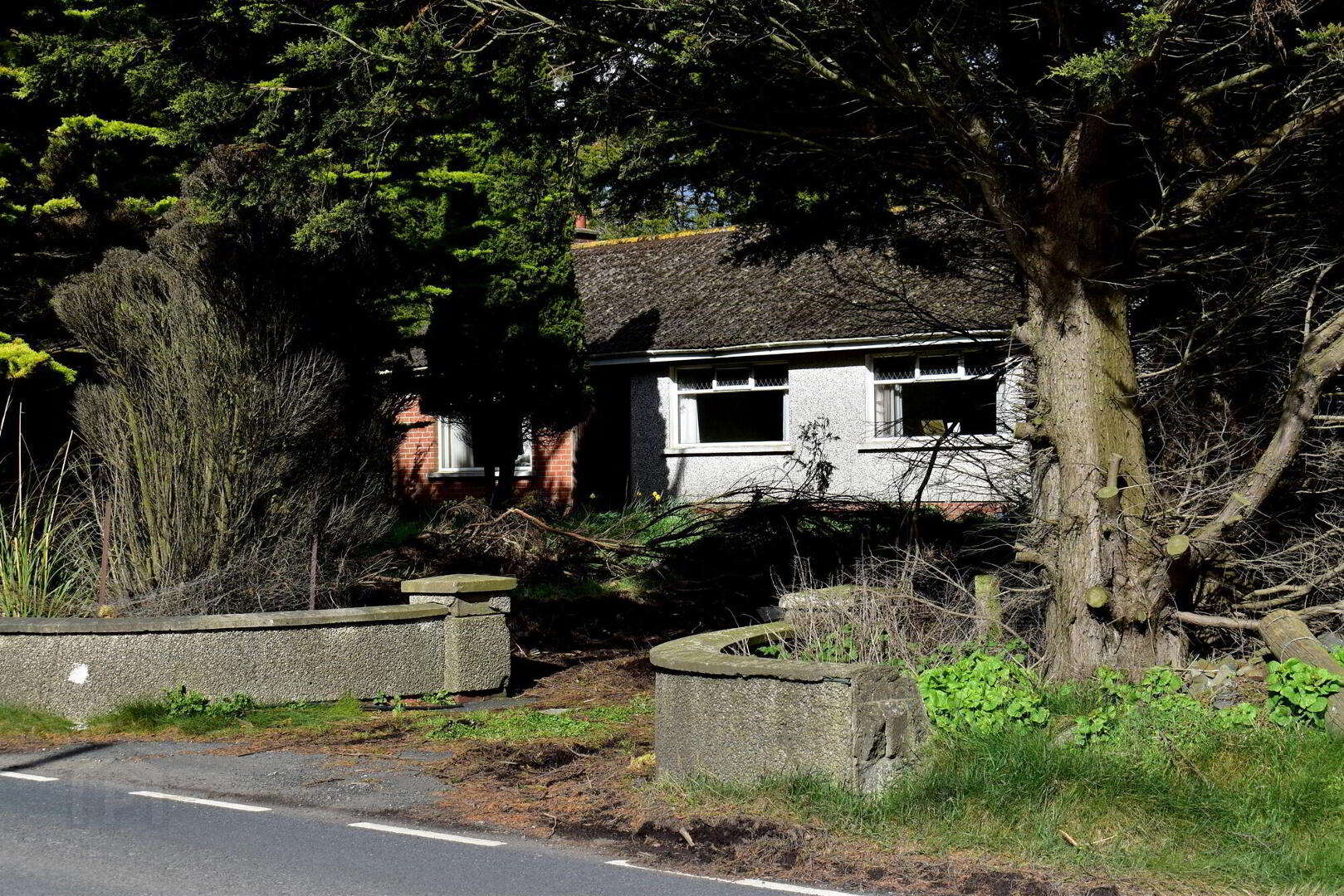19 Ballyblack Road East 3 of 24