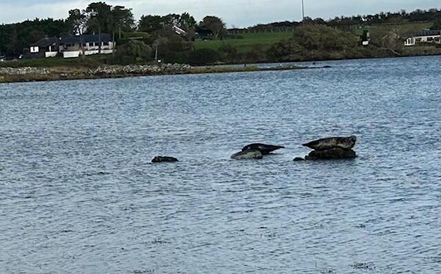 121 Whiterock Bay 31 of 32