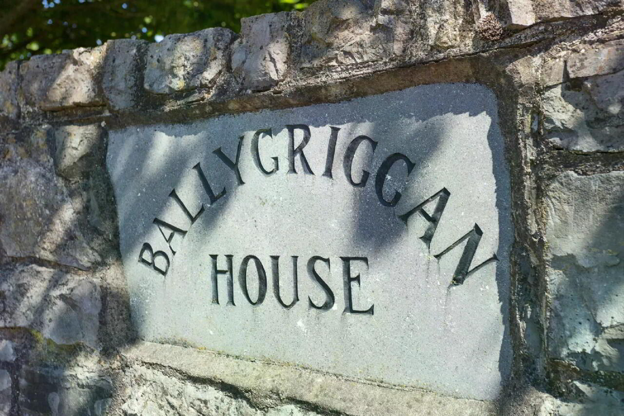 Ballygriggan House, Ballygriggan 37 of 37