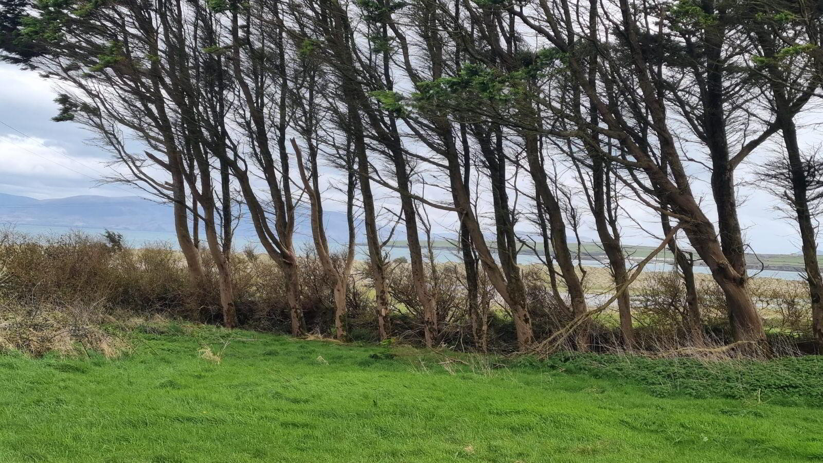 Corby Sands 14 of 14