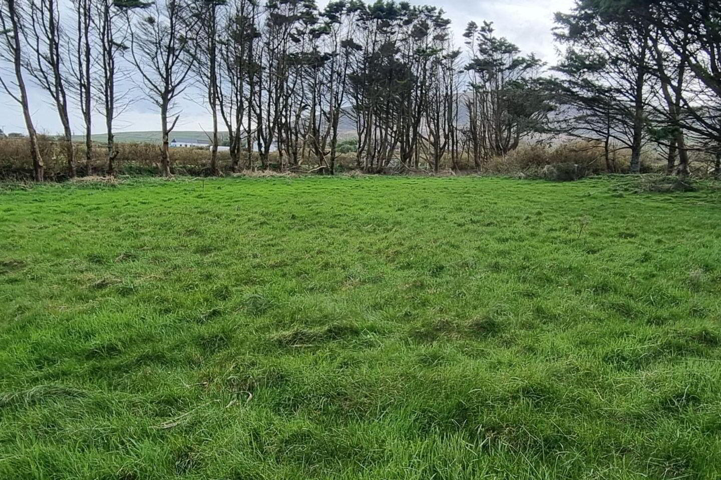 Corby Sands 14 of 15