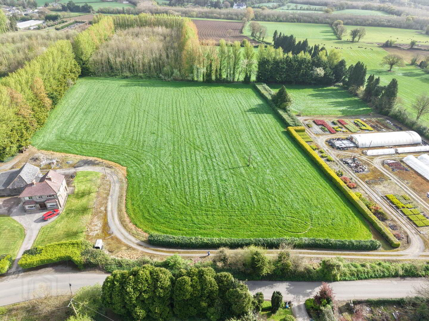 Fiddown Nurseries 3 of 16