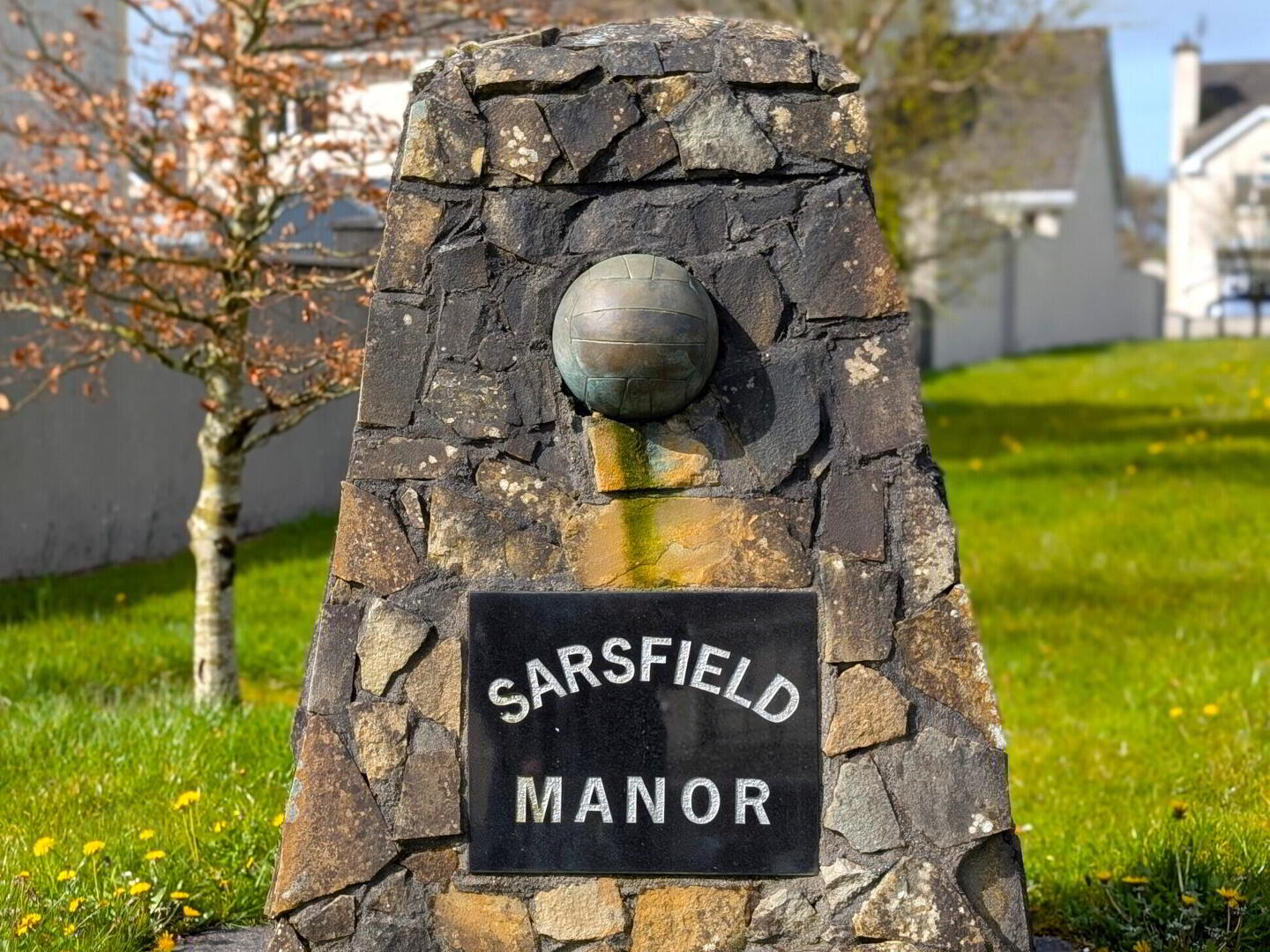 25 Sarsfield Manor 34 of 35