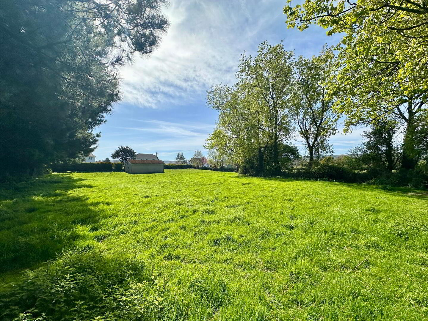 Carrowncashlane 37 of 37