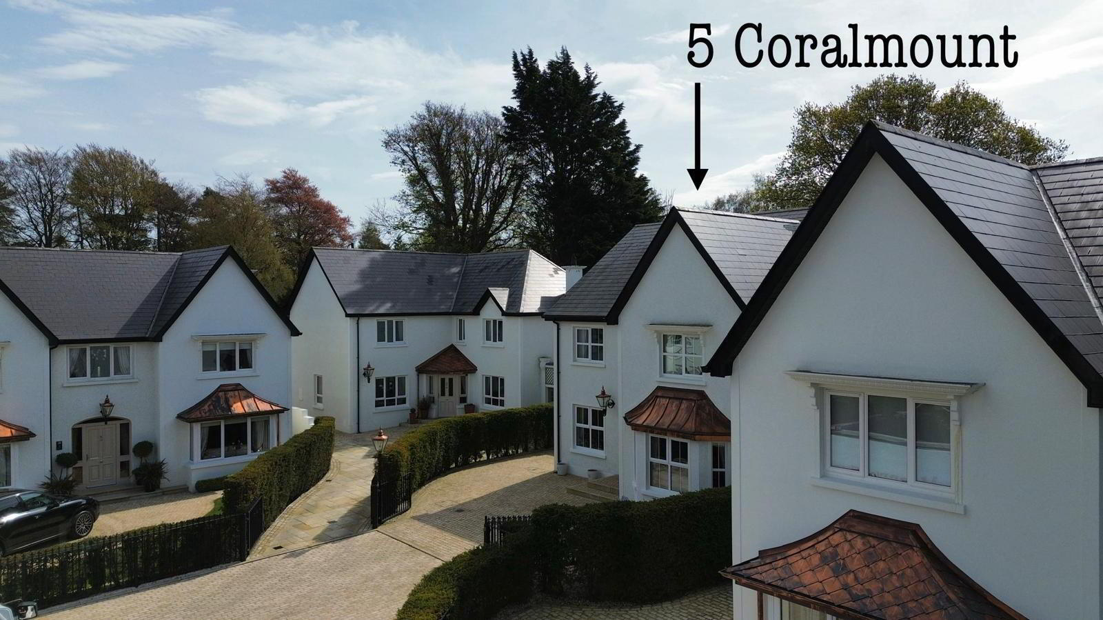 5 Coralmount 44 of 45