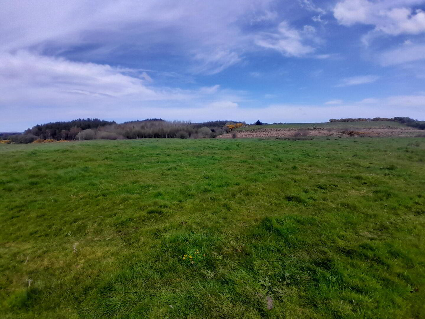 Cuillaun 4 of 4