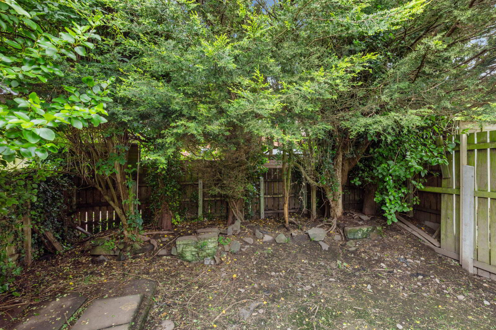 53 East Mount 26 of 27